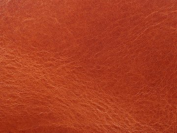 Primavera koniakowa 06